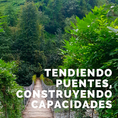 Tendiendo Puentes, Construyendo Capacidades